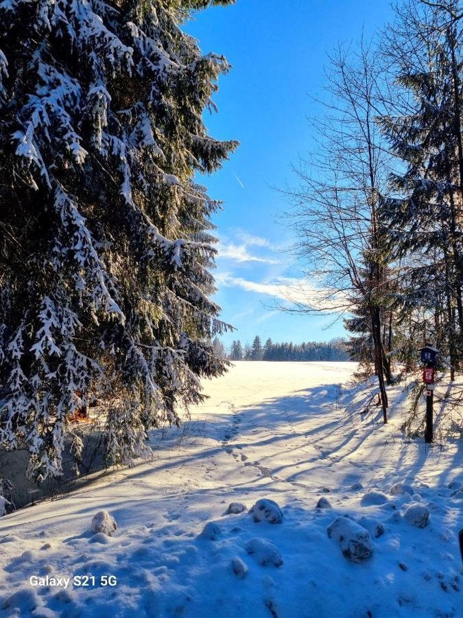 Ferienhaeuser Olbernhau Erzgebirge Eksteriør billede