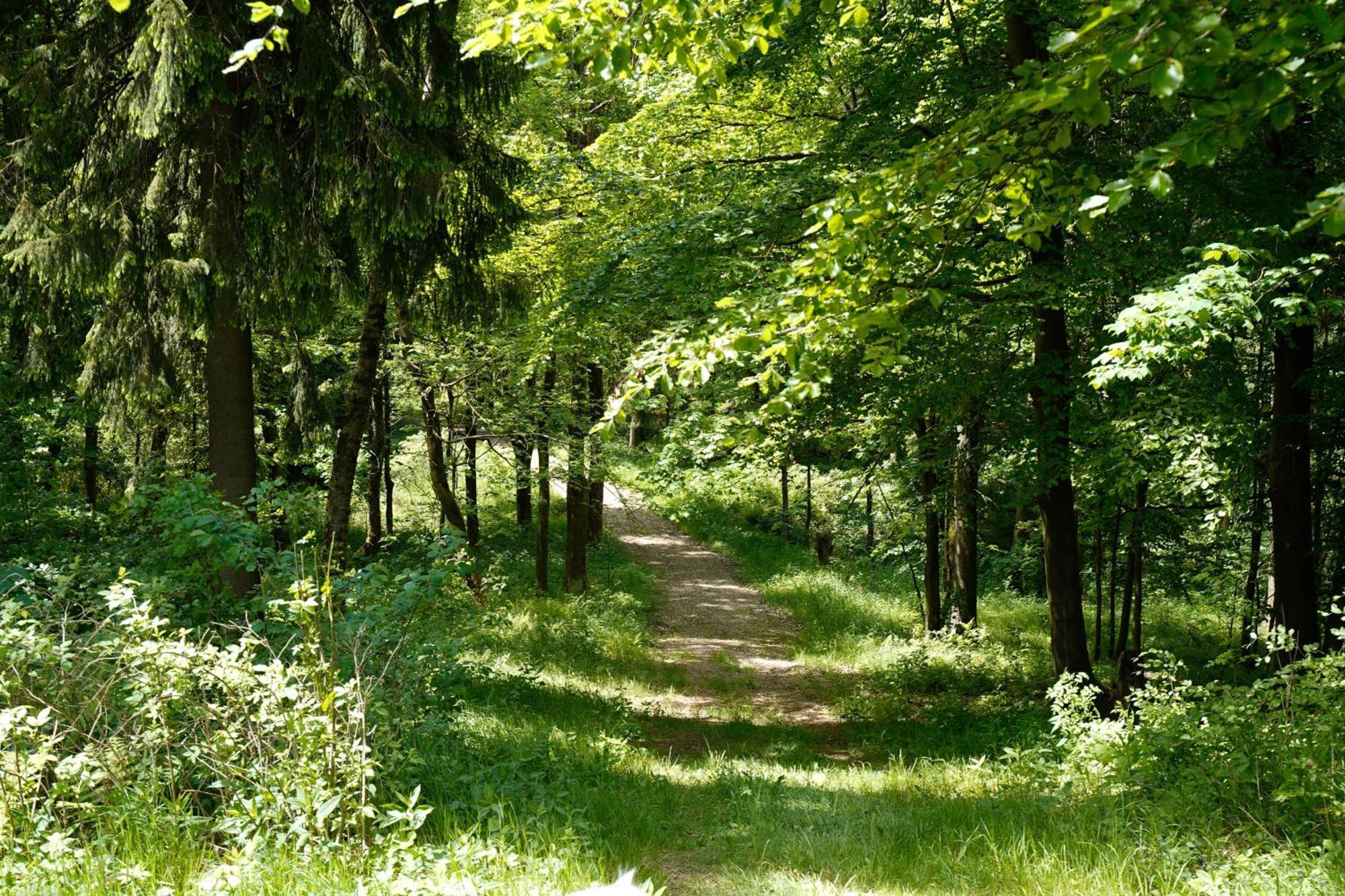 Ferienhaeuser Olbernhau Erzgebirge Eksteriør billede